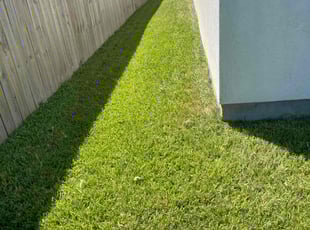 Raven k.'s lawn care service result