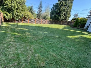 Dajari M.'s lawn care service result