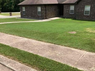 William G.'s lawn care service result