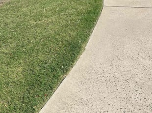 Louis M.'s grass cutting service result