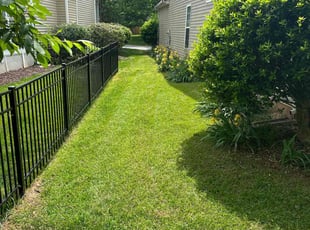 Russell S.'s lawn care service result