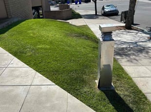 Melody F.'s grass cutting service result