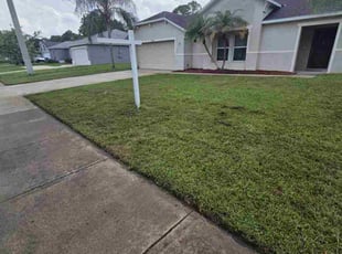 Frankie H.'s grass cutting service result