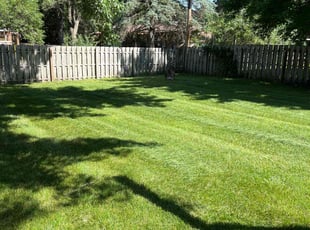 Chad H.'s grass cutting service result