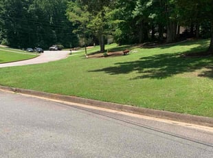 Brenda D.'s lawn service service result