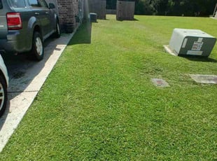 Danny L.'s lawn maintenance service result