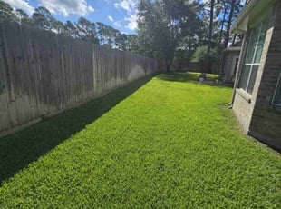 George H.'s lawn care service result