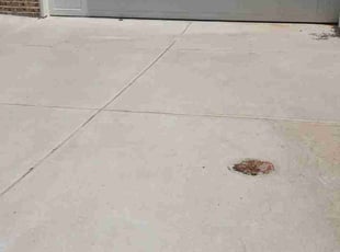 Angie D.'s lawn maintenance service result