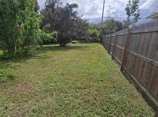 Gloria S.'s lawn maintenance service result