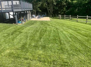 T. W.'s grass maintenance service result