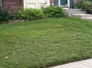 Karen W.'s lawn maintenance service result