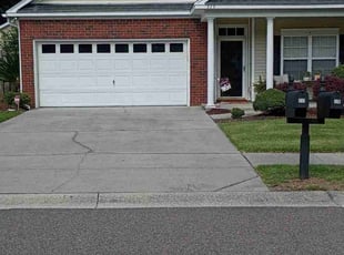 Amrita M.'s lawn maintenance service result