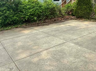 Marian M.'s lawn care service result