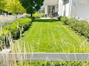 Jennifer R.'s lawn maintenance service result