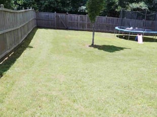 Teena L.'s Flower Bed Weeding service result