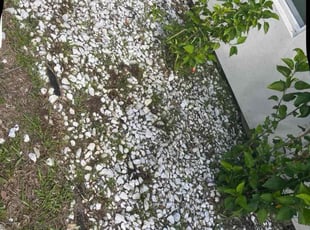 Tanya M.'s Flower Bed Weeding service result