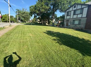 Jason F.'s landscaping service result