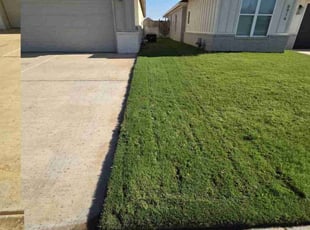Dani C.'s turf maintenance service result