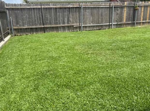 Jea B.'s turf care service result