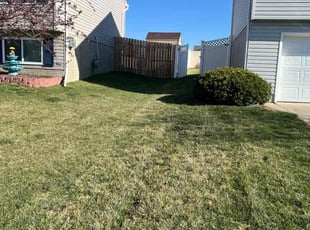 Lisa L.'s lawn care service result