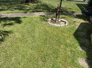 Edward D.'s lawn service service result