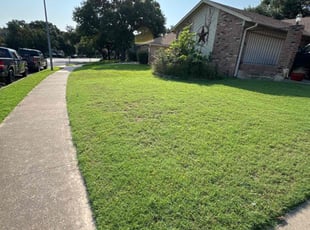 Philip M.'s lawn care service result