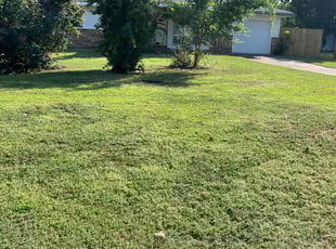 Linda L.'s turf maintenance service result