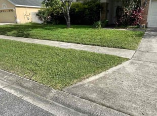 Samantha B.'s turf care service result