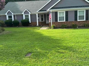 Matt F.'s grass cutting service result