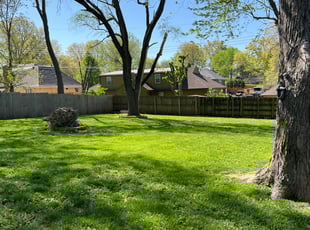 Eric A.'s lawn care service result