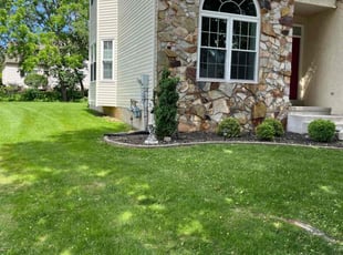 Gary F.'s turf maintenance service result
