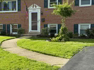 Brad F.'s Long Grass Cleanup service result