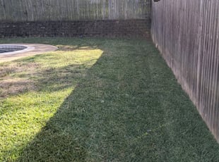 Clarence W.'s Leaf Removal service result