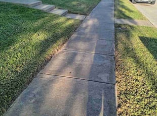 David E.'s grass maintenance service result