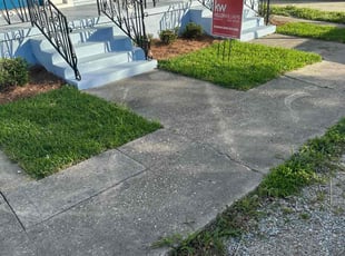 Eric M.'s lawn care services service result