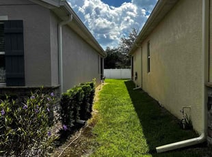 Taina R.'s turf care service result