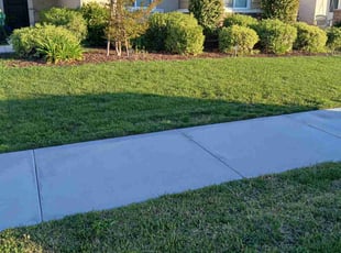 Stephanie A.'s turf care service result