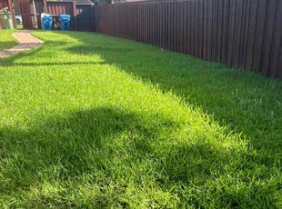 Kevin B.'s lawn care services service result