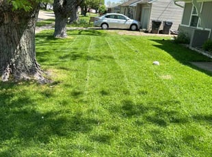 Richard R.'s grass maintenance service result