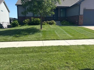 Bill H.'s grass cutting service result