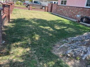 Nancy T.'s lawn service service result