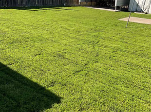Ervey D.'s lawn care services service result