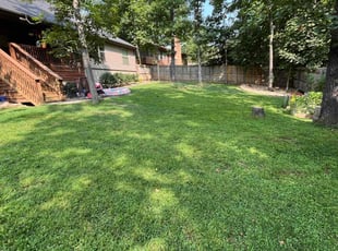 Renee C.'s grass cutting service result