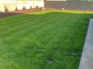 Story S.'s yard care service result