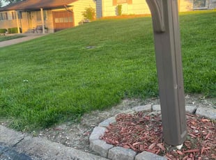 Joshua R.'s lawn care service result