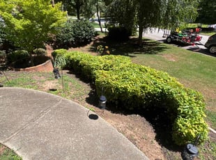 Kevin M.'s Bush Trimming service result