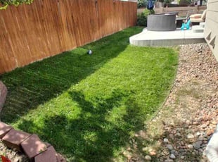 Carleen T.'s lawn maintenance service result