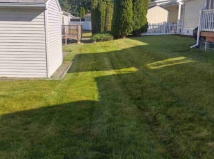 Wanda B.'s lawn care services service result