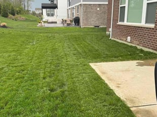 Sumo A.'s lawn care service result
