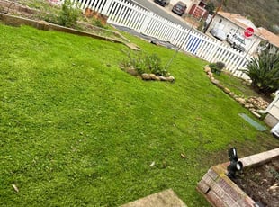 Gretchen W.'s turf care service result